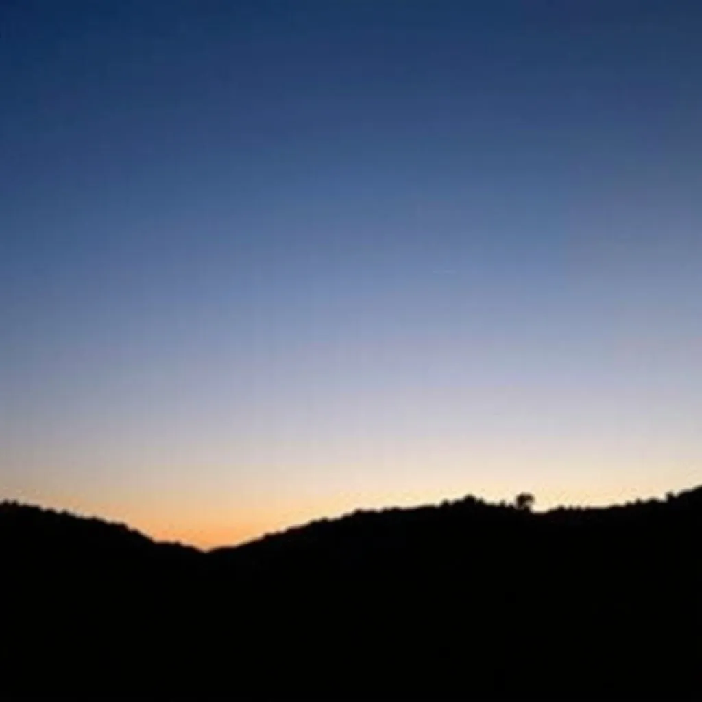 senior sunrise captions