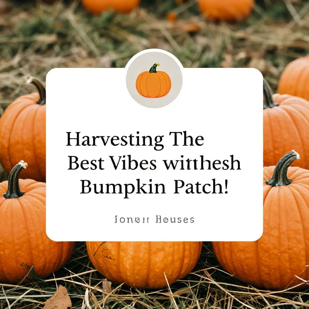 pumpkin patch instagram captions