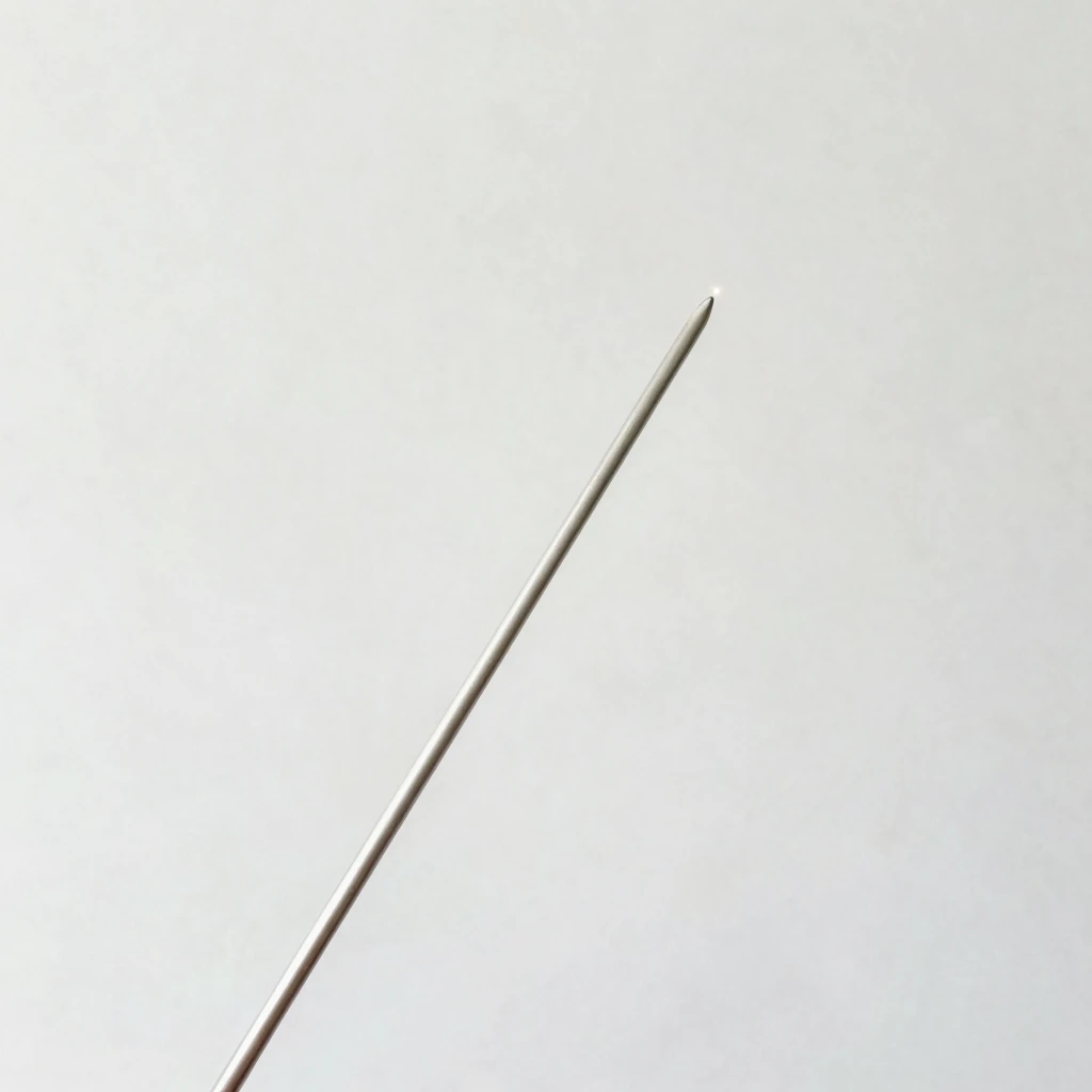 Minimalist Magic for a Short 2024